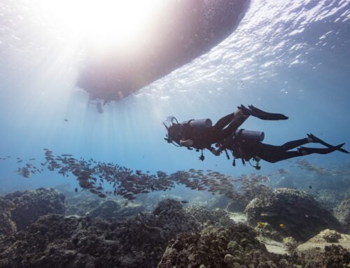 The Benefits of Scuba Diving for Positive Mental Health